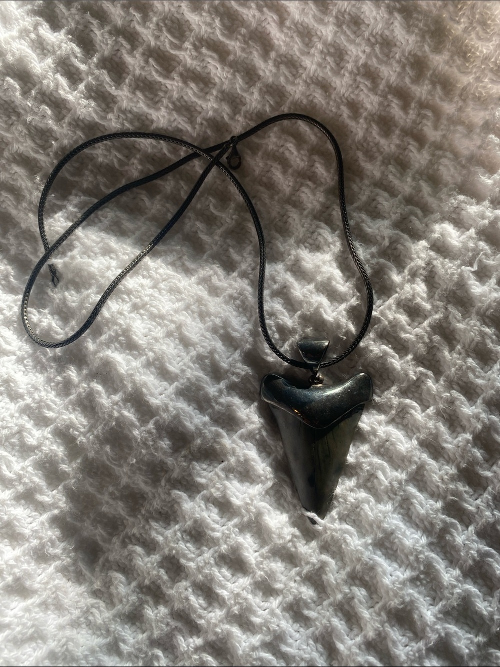 Shark Tooth Pendant Necklace in Black Sterling